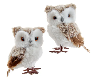 Fluffy Soft Owls